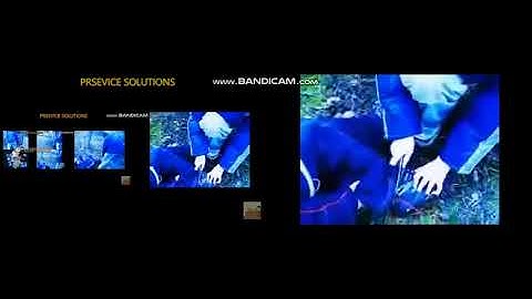 Up to Faster 99 Parison to Echter gangster