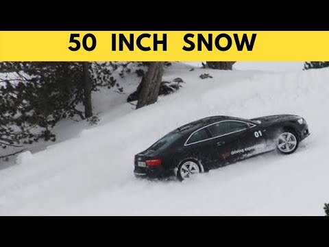 Quattro Power of AUDI  In  Snow (50 inch) ❄❄