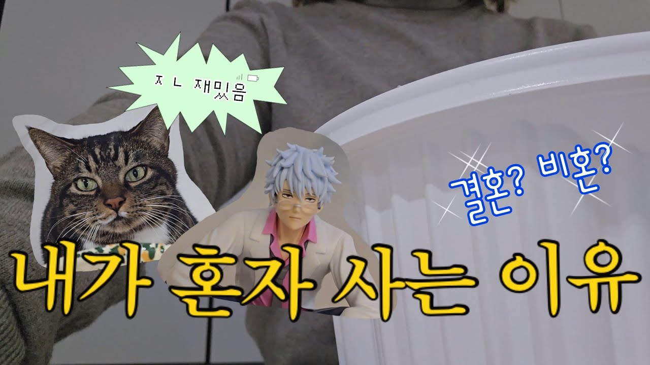 결혼이요…?👰‍♀️덕질하고 테무깡하고 고양이 키우느라 바쁜데요;; [30대 1인가구 브이로그]