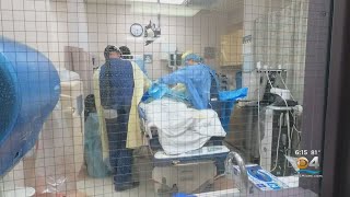 Pediatric COVID Cases Up As South Florida Students Return To The Classroom