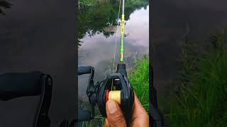 Reel BC Daiwa PR100L #short #shortvideo #shorts screenshot 2