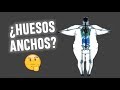 🦴 Huesos anchos. ¿Mito o realidad?