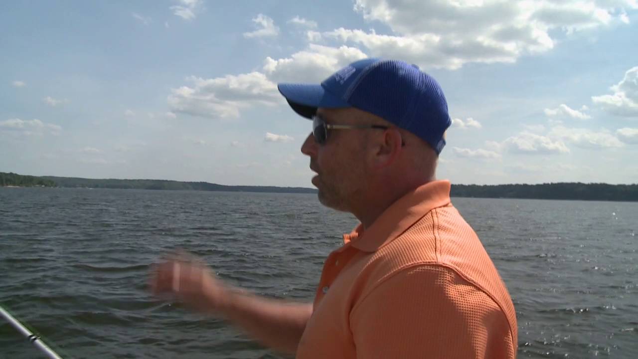 Big White Bass on Spoons in the Summer Heat