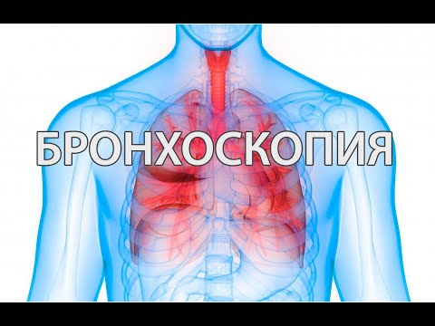Чего ожидать от