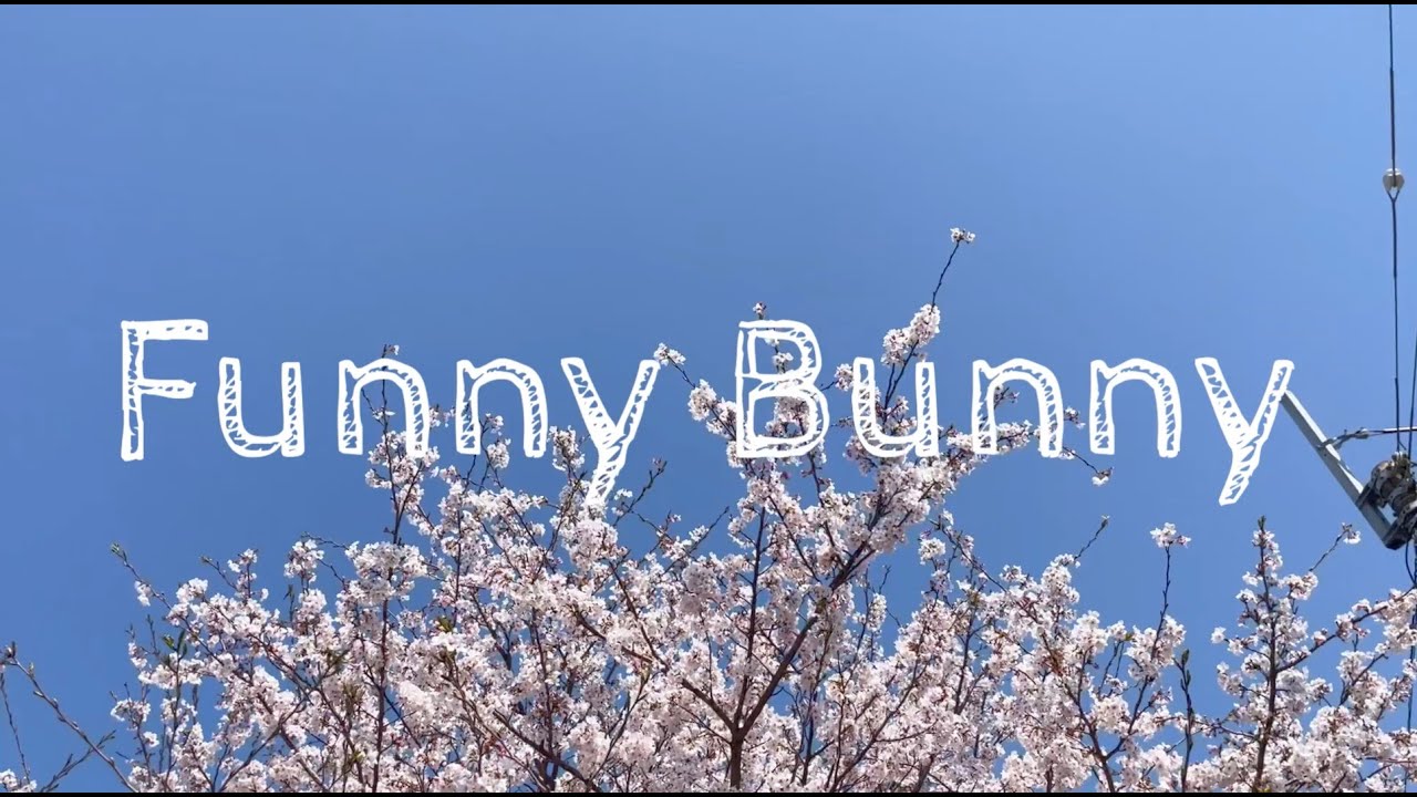 WELIT 「Funny Bunny 」(cover)