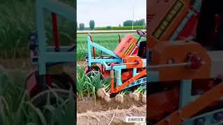 Most Satisfying Irrigation Technique! 🌊🚜 #shorts