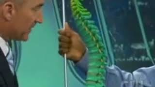 Backpack Saftey - Chiropractors Promotes Backpack Safety on KYW TV