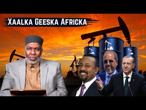 Sh Abdiraxman Bashiir Maxay Soomaaliya Ka Fa Iidaysa Heshiiska Shidaalka Ee Turkey Geeska Africa Sh Abdiraxman Bashiir Maxay Soomaaliya Ka Fa Iidaysa Heshiiska Shidaalka Ee Turkey Geeska Africa