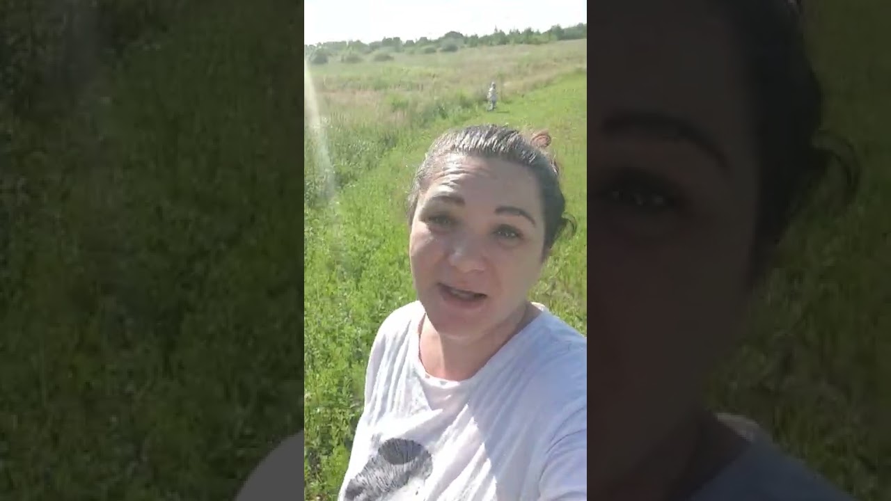 Собираем цветы для чая, хорошего дня)