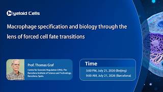 Myeloid Cells丨Macrophage Specification and Biology Through the Lens of Forced Cell Fate Transitions