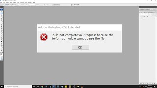 File open error photoshop | The file format module cannot parse the file