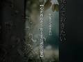 【心が折れそうなときに読む言葉】 #shorts #名言 #言霊 #引き寄せ #人生