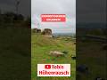 Die schönsten Herbstblicke über Homburg #shorts #Drohnenblicke #Herbstwald