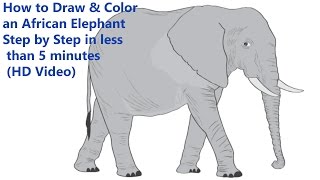 How to Draw & Color an African Elephant Step by Step in less than 5 minutes (HD Video)
