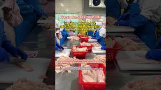 【Fish & Shrimp Product Sourcing】