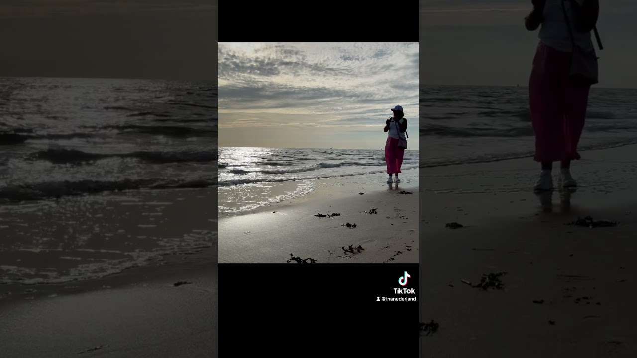 Пляж города Vlissingen в Нидерландах на берегу Северного моря.