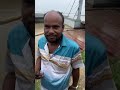 Catching Fish With Net From The Padma River #fish #fishing #netfishing