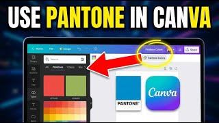 Full How to enable using Pantone colors in Canva - Easy Tutorial Update