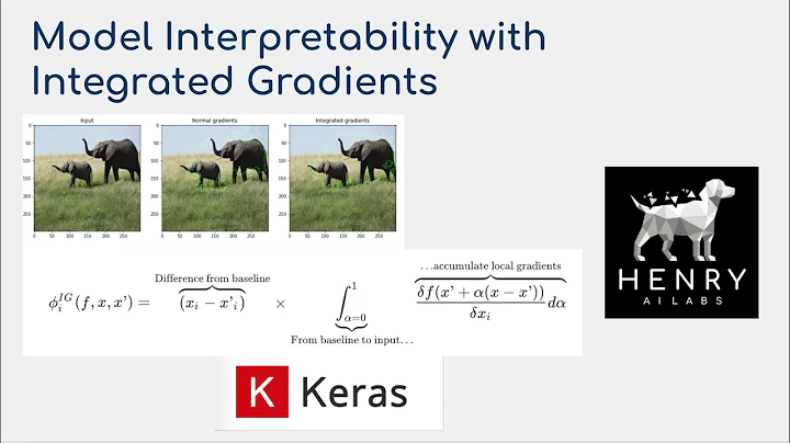 Model interpretability with Integrated Gradients - Keras Code Examples