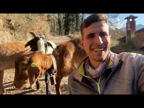 A Day in the Countryside: Garden, Chickens, and Incredible News