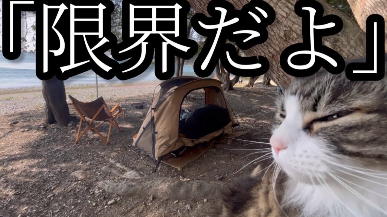 【猫とキャンプ】188話「強風で新幕SKY EYE CT（コットテント）限界だよ！」丸山県民サンビーチ（前編）