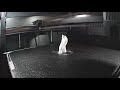 Serene Guardian: Angelic Figurine Sculpture Timelapse