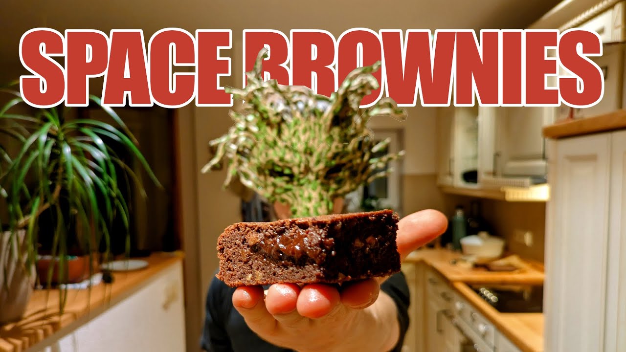Space Brownies, die nicht von dieser Welt sind