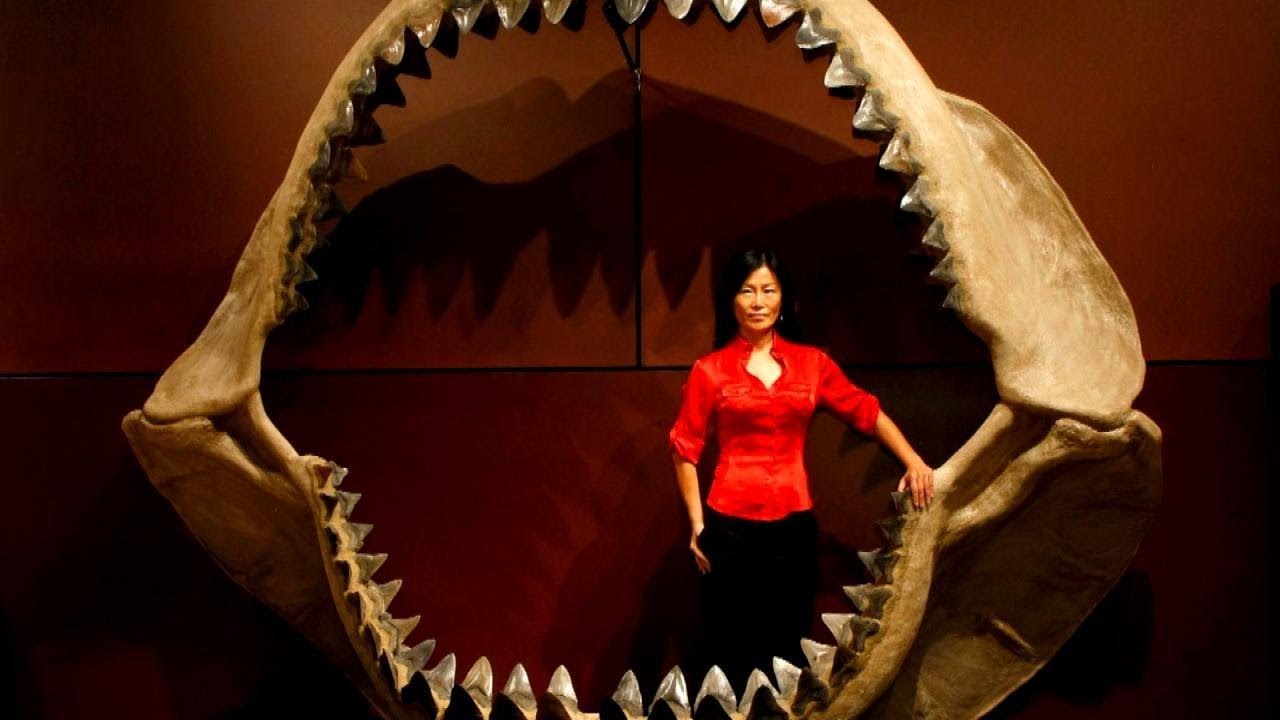 The Truth Behind Megalodon Sharks That Inspire ‘The Meg’ Movie