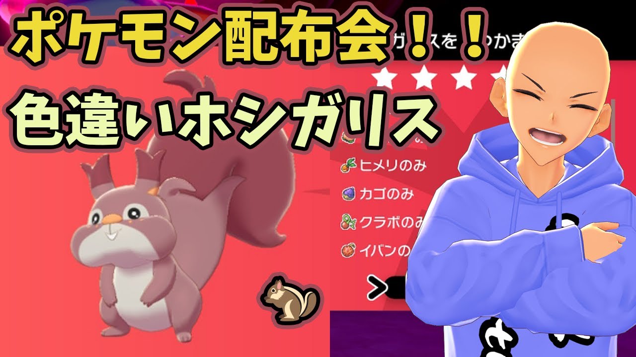 ポケモン剣盾 色違いホシガリス配布会 乱獲ok 初見さん歓迎 ポケモン配布 Youtube