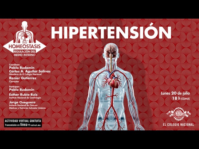 Hipertensión | Ciclo: Homeostasis: regulación del medio interno