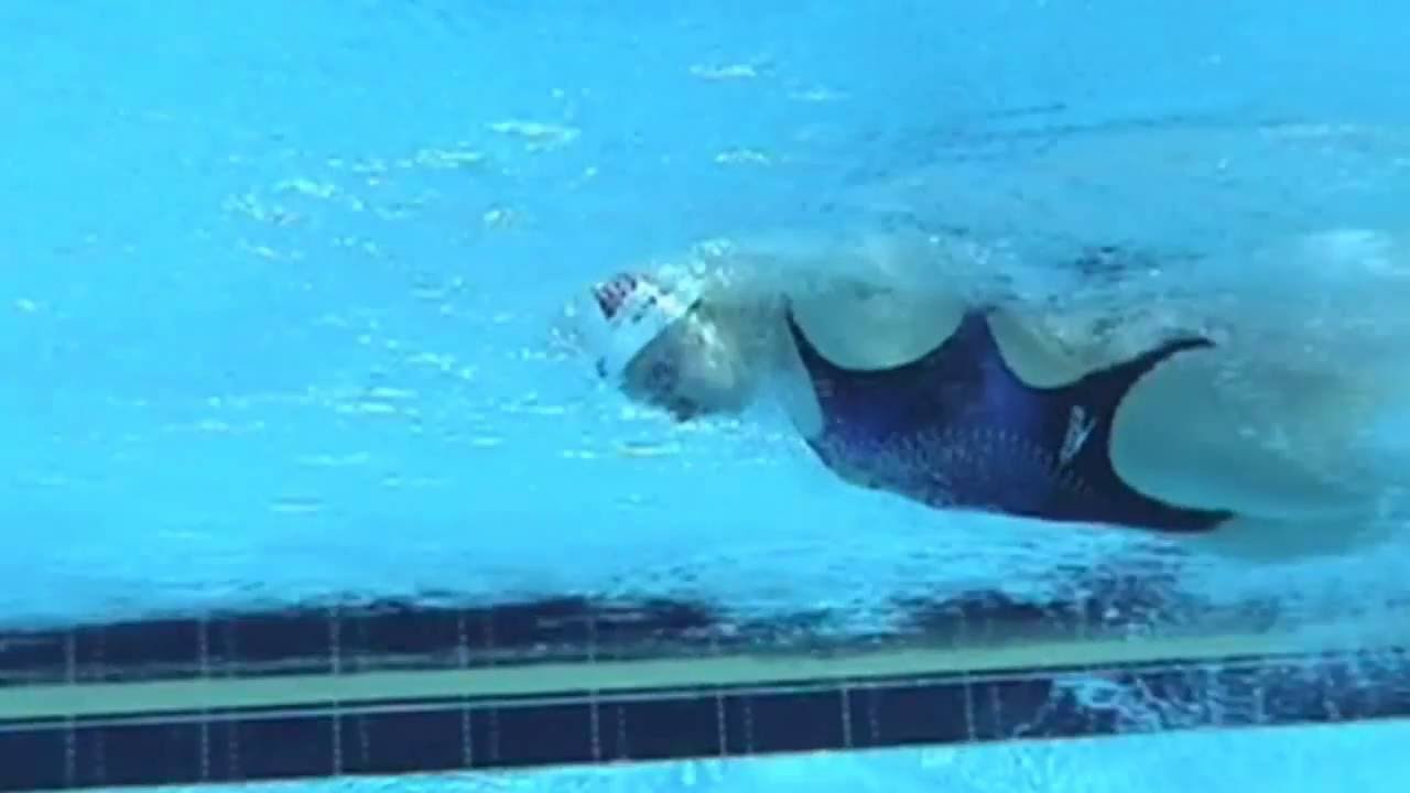 蝶式：慢速觀摩