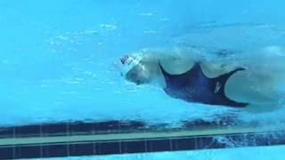 蝶式：慢速觀摩