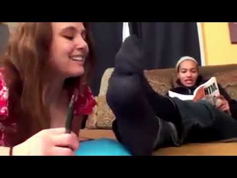 Sniffing Friends Feet During Group Study | Low Quality But Rich Content