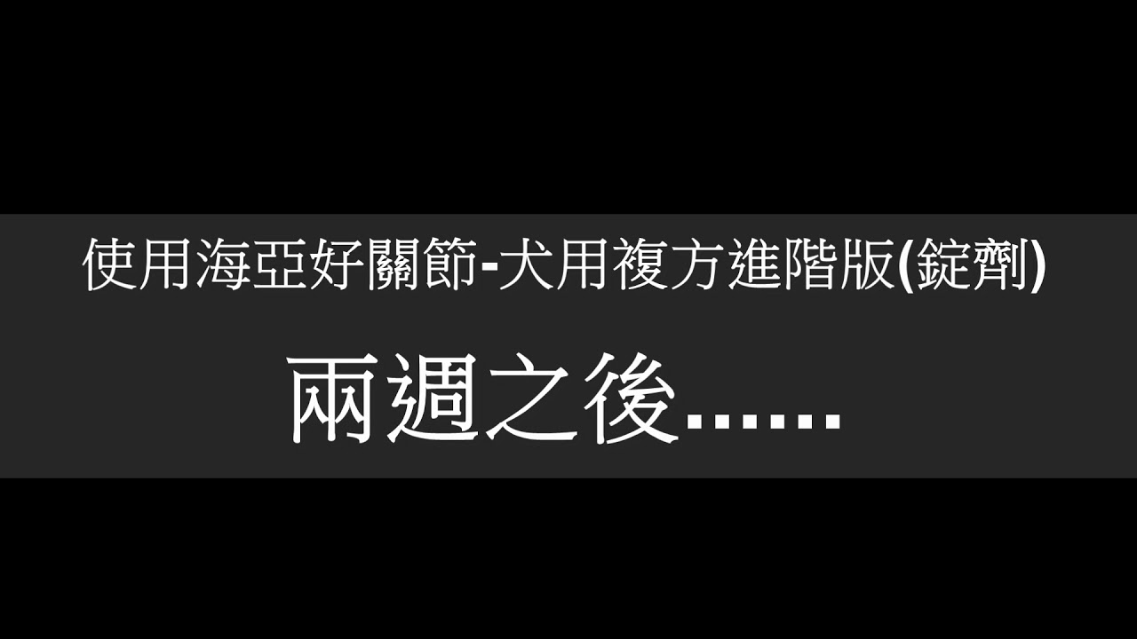 海亞好關節寵物關節玻尿酸關節保養眼睛保養玻尿酸摺耳貓退化性關節 松果購物