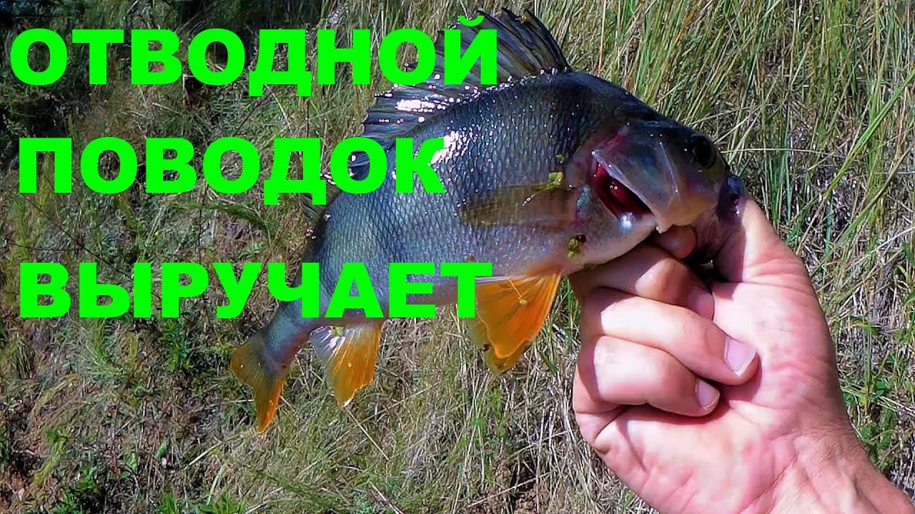Ловит колею приора