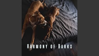 Tail Wagging Rhythms