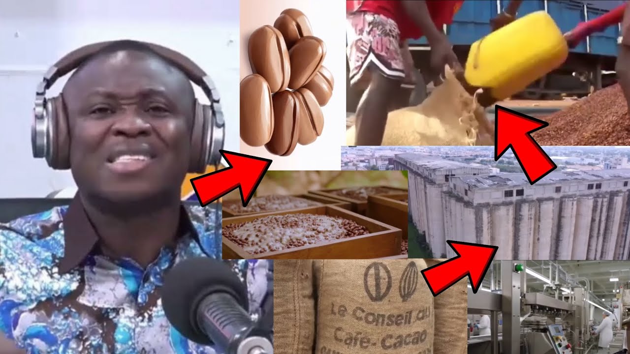 Saddick Adams Reveals Why Ghana Must Process Its Own Cocoa, The Profit & All Secret.