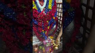 Joy Maa Tara _ Tara Mayer Darshan #joybabamoni #joymatara #tarapith