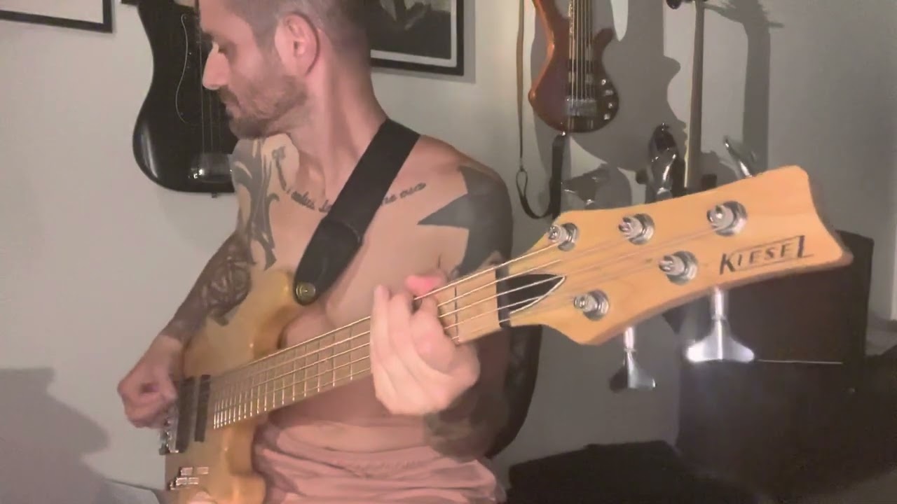 Alien Ant Farm Wish Bass Cover