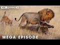 Deadly Battles on the African Savanna | Savage Kingdom MEGA Episode #natureanimaldocumentary