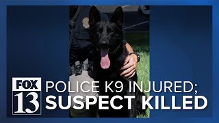 Police K9 stabbed, suspect fatally shot by police in Utah