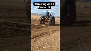 Harrowing my field with my Farmall H