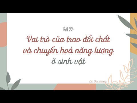 Video Bài 22. Vai trò của trao đổi chất và chuyển hoá năng... - youtube