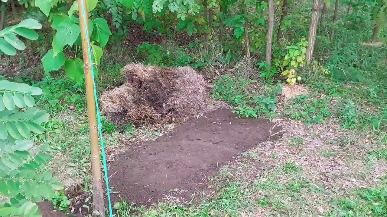 8723 Fixing Soil Settlement in the Experimental Ditch - Part 2 #Topsoil #SoilCompaction #GardenWork