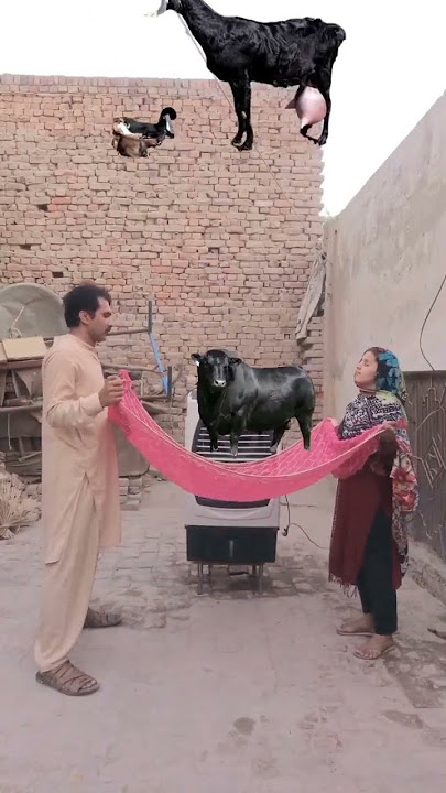 😱😍🤣🫣 #memecompilation #tiktokshorts #tiktokremix #viralvideo #vfx #tiktok