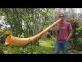 Eole didgeridoo rd