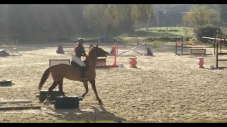 Hunter Figure Imposée 1M05 Quarmen De Hus Z