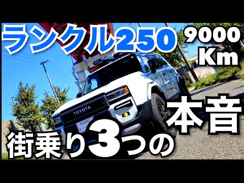 ヤラずに帰れるか！ New Hayabusa vs ZX14R vs old Hayabusa