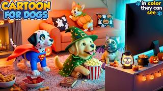 Calming TV for Dogs Left Alone: Soft Colors & Music to Ease Separation Anxiety 🐾 For Busy Dog Owners screenshot 1