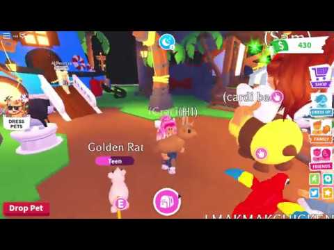 New Update!!!New Dress Your Pet (Adopt Me) - YouTube